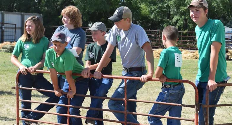 4-H youth next to livestock gate