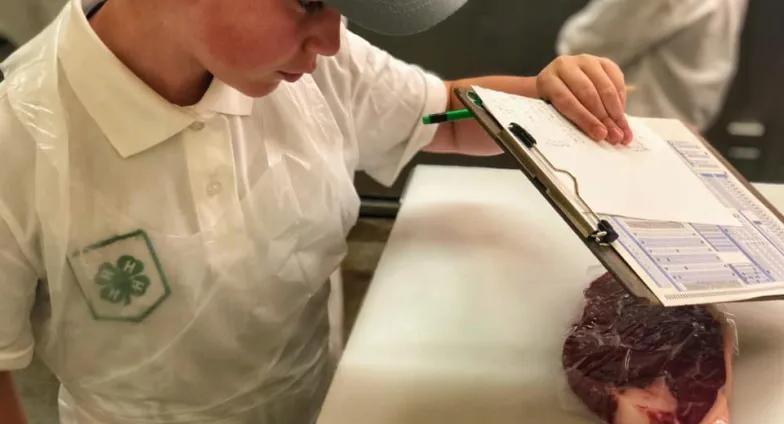 boy with clipboard analyzing piece of beef